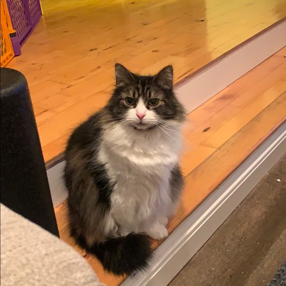 Meet your Posher, Caitlyn